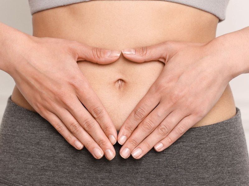 Lactobacillus plantarum