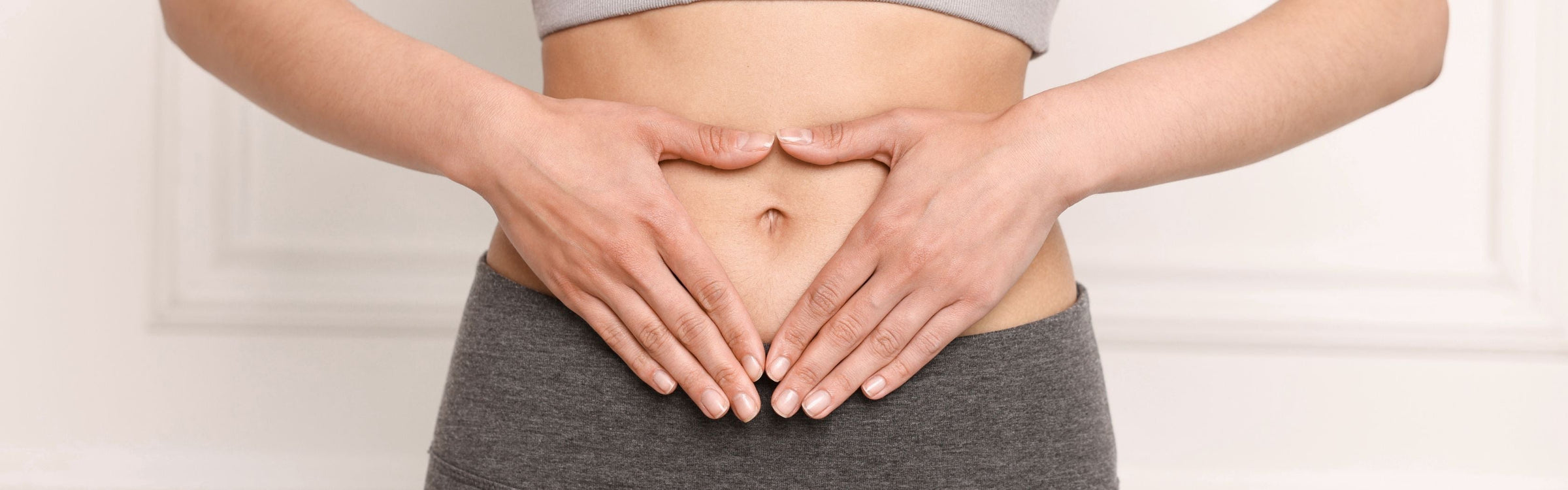 Lactobacillus plantarum