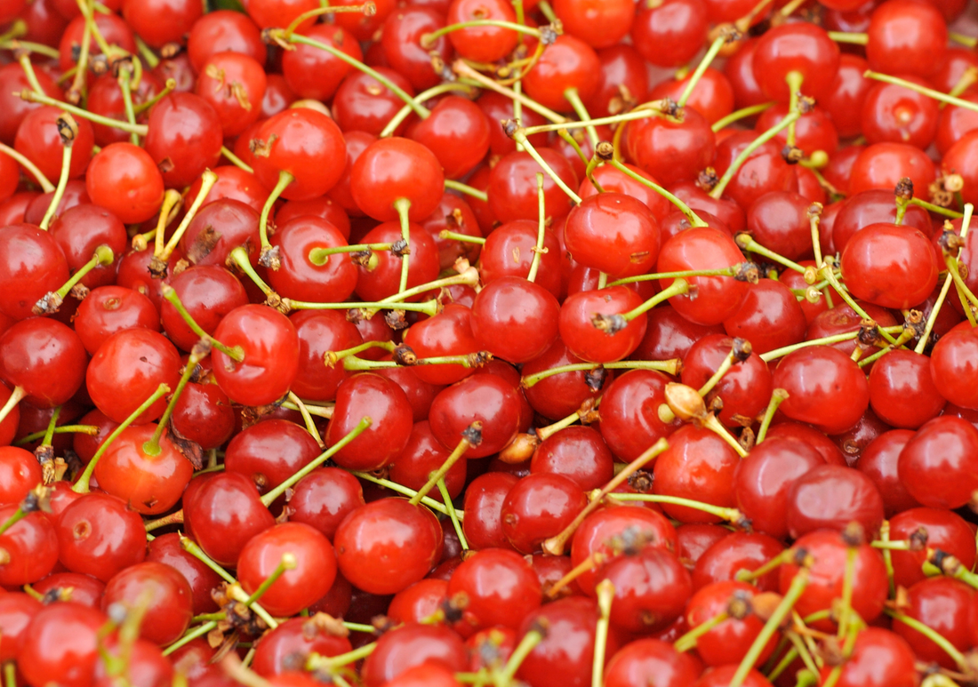 Montmorency Cherry