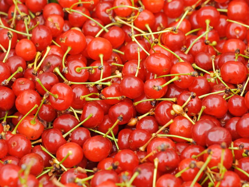 Montmorency Cherry