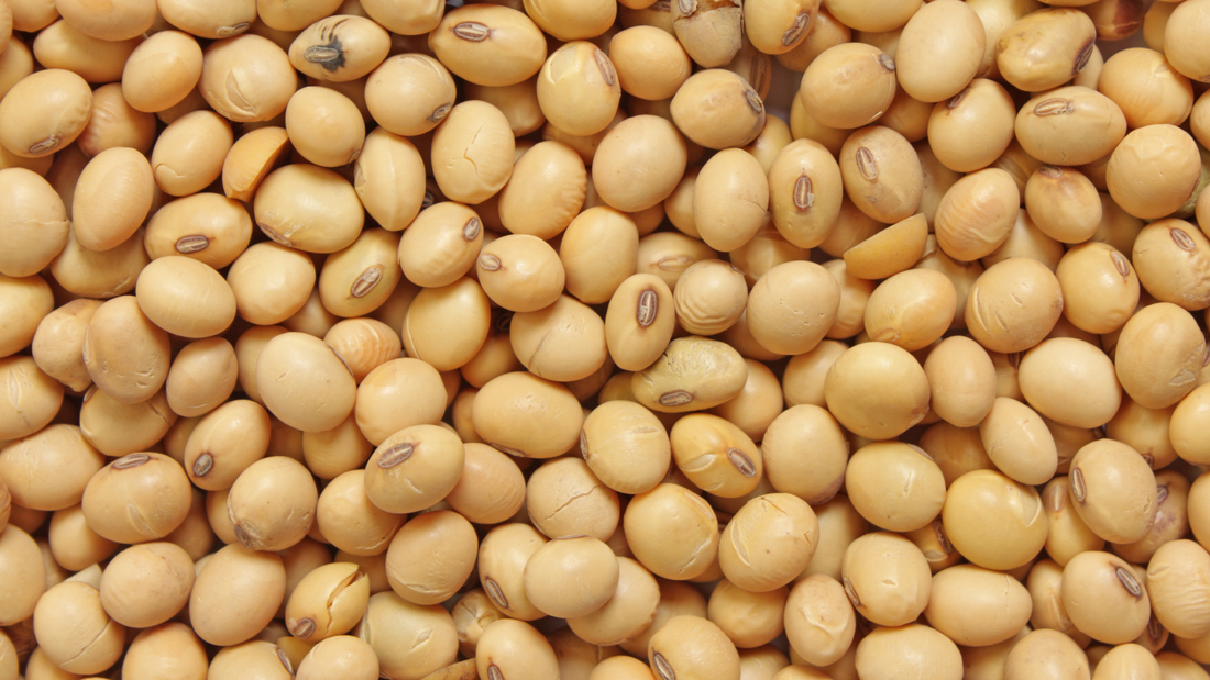 Nattokinase Unveiled: How This Japanese Superfood Can Improve Your Well-Being