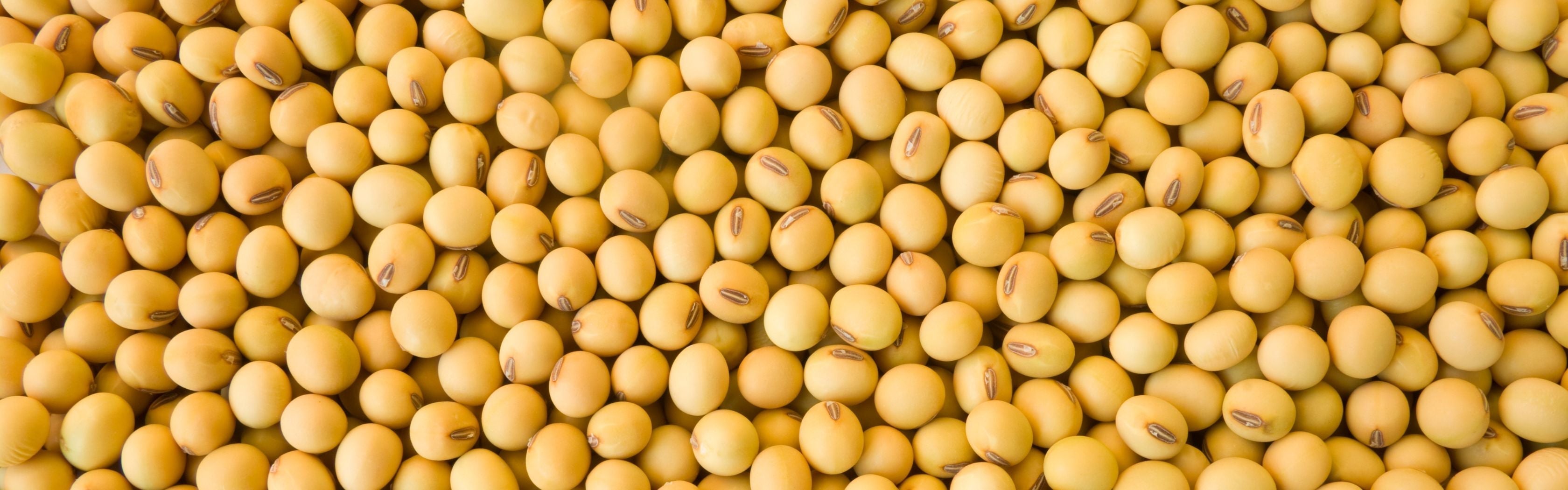 Nattokinase