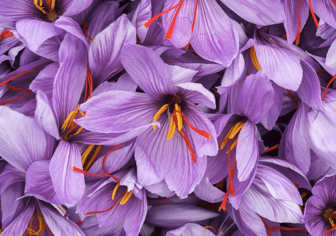 Saffron