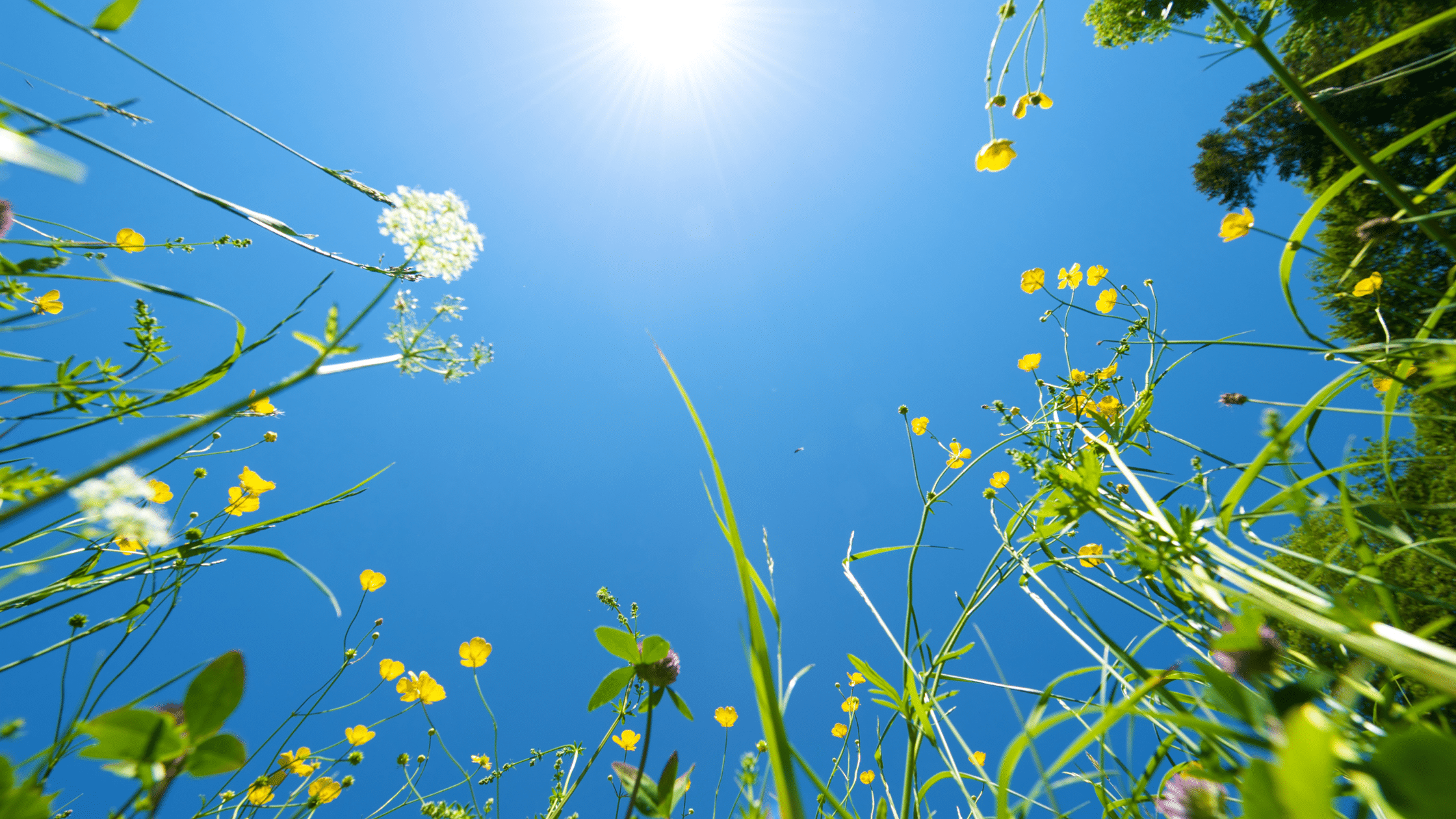 Do I still need to take Vitamin D in the summer?