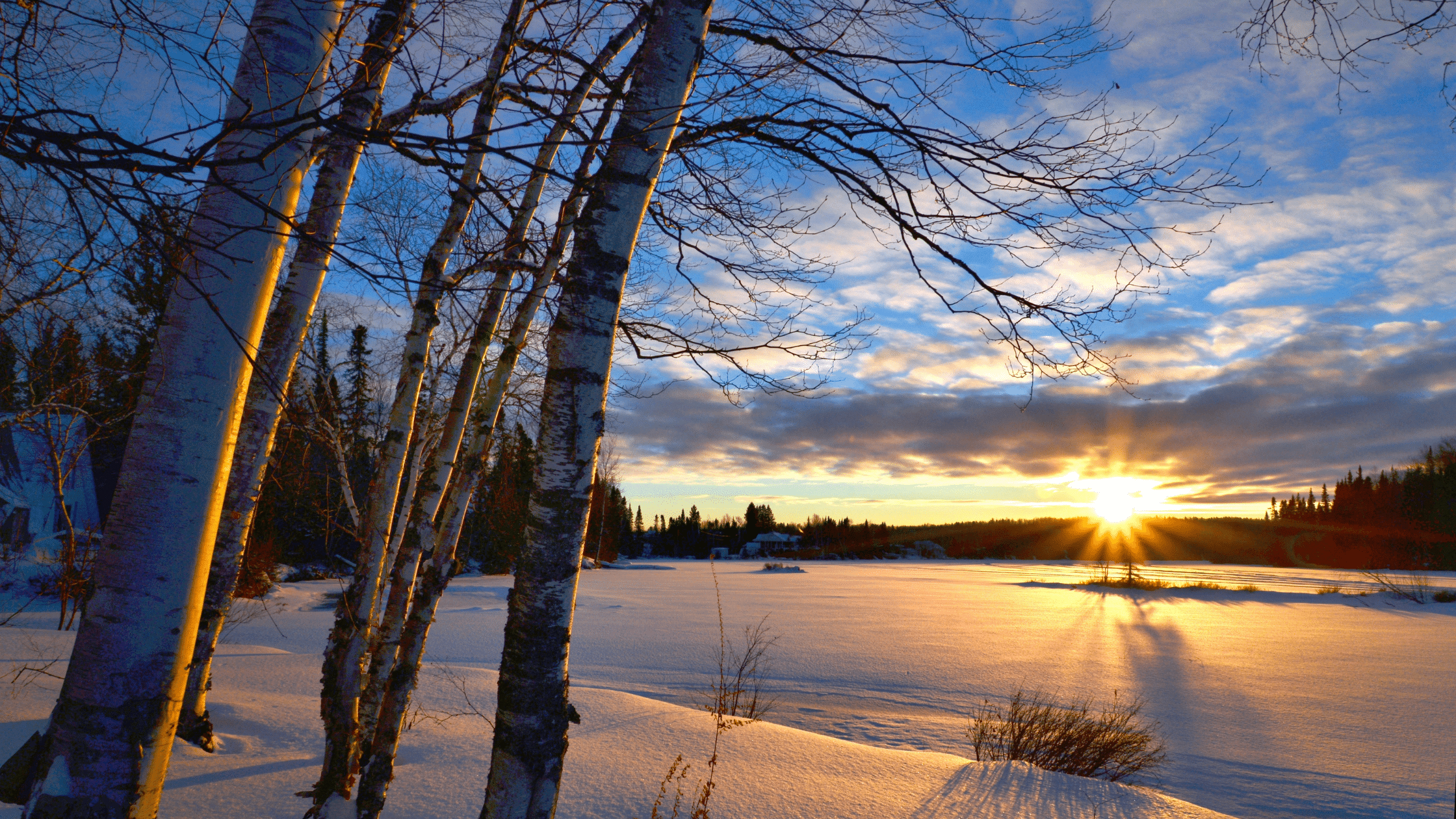 Getting your winter dose of vitamin D