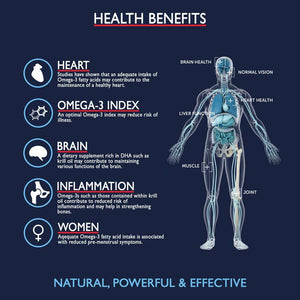 Health benefits of Omega-3 fatty acids with a transparent human body illustration on a dark blue background. | Hover