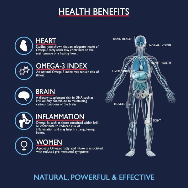 Health benefits of Omega-3 fatty acids with a transparent human body illustration on a dark blue background. | Hover