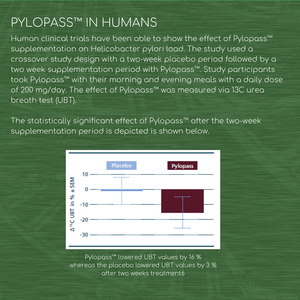 Pylopass™ Probiotic – Gut Health – Targets Harmful H. pylori
