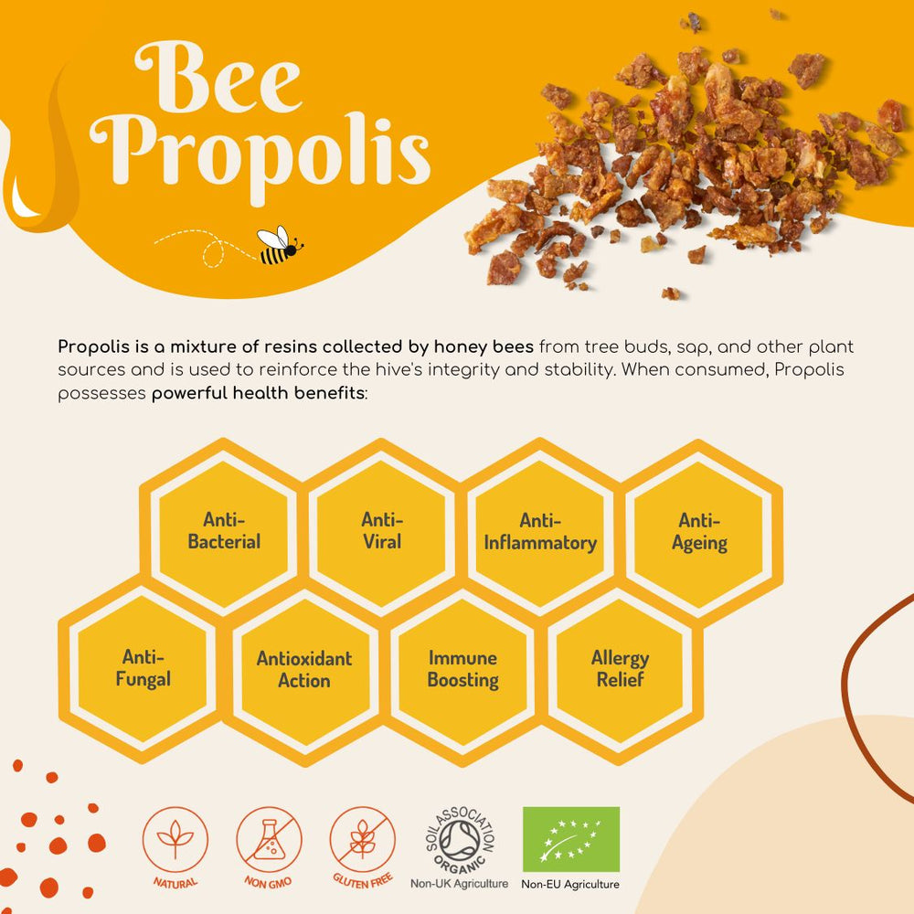 Organic Green Bee Propolis – High Strength 4:1 Extract – 1000mg – 2.5% Phenolic Acid – Rich in Artepillin C – Immunity, Inflammation & Longevity Support – Brazilian Source – 60 Capsules | hover