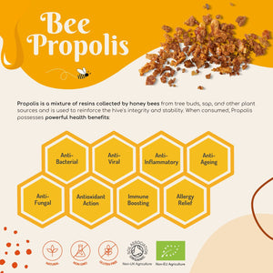 Organic Green Bee Propolis – High Strength 4:1 Extract – 1000mg – 2.5% Phenolic Acid – Rich in Artepillin C – Immunity, Inflammation & Longevity Support – Brazilian Source – 60 Capsules | hover