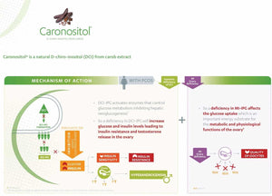 Myo & D Chiro Inositol – Hormone & Sleep Support