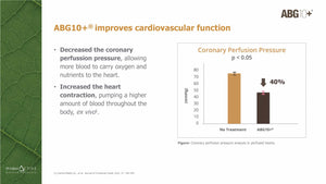 Aged Black Garlic - Clinically Proven ABG10+ - S-Alyll-Cysteine (SAC)