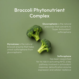 Hover - Two pieces of broccoli on a green background with text about broccoli phytonutrient complex.