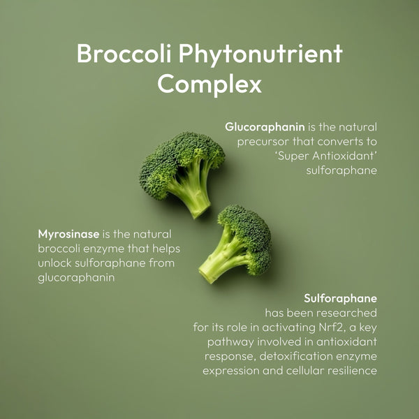 Hover - Two pieces of broccoli on a green background with text about broccoli phytonutrient complex.