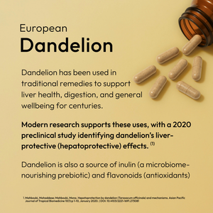 Dandelion has been used in traditional remedies to support liver health, digestion, and general wellbeing for centuries. Time Health 