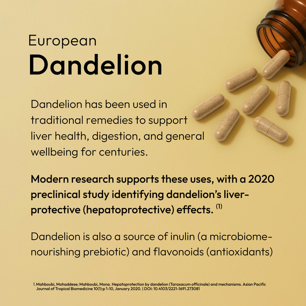 Dandelion has been used in traditional remedies to support liver health, digestion, and general wellbeing for centuries. Time Health 