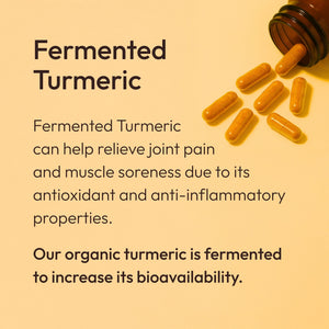 Organic Fermented Turmeric – Highly Bioavailable Anti-Inflammatory