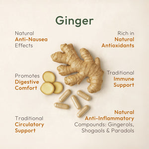 Ginger root and capsules with health benefits on a beige background | Hover