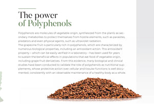 Grape Seed Extract Capsules - with Ecovitis™ Min. 95% OPC