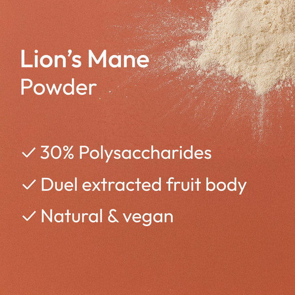 Lion's Mane mushroom extract 100g powder - 30% Polysaccharides | Hover