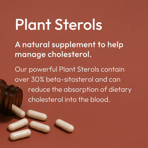 Our powerful Plant Sterols contain over 30% beta-sitosterol and can reduce the absorption of dietary cholesterol in the blood.