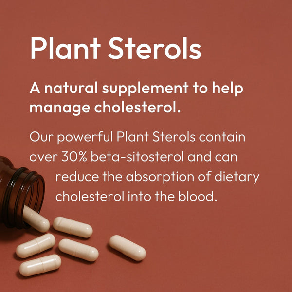 Our powerful Plant Sterols contain over 30% beta-sitosterol and can reduce the absorption of dietary cholesterol in the blood.