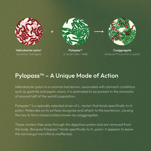 Diagram showing how Pylopass™ (L. reuteri DSM 17648) binds to Helicobacter pylori to form coaggregates. The accompanying text explains that H. pylori is a common stomach bacterium associated with gastritis and peptic ulcers, and that Pylopass™ binds specifically to it so the clusters can pass through the digestive system while leaving normal gut microflora largely unaffected.