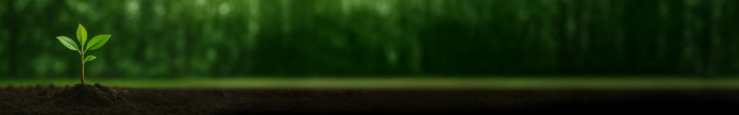 With your help, we have now planted