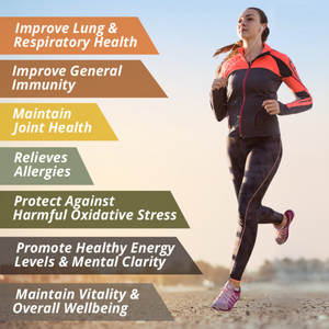 Tiger Milk Mushroom – Clinically Studied LiGNO TM02® – Respiratory & Immune Health