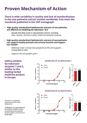 Saw Palmetto Extract – USPlus® 45% Fatty Acids – Hair Loss & Prostate Support