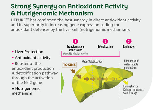 LiverTonic - with Organic HEPURE™ - Liver Cleanse, Detox & Repair