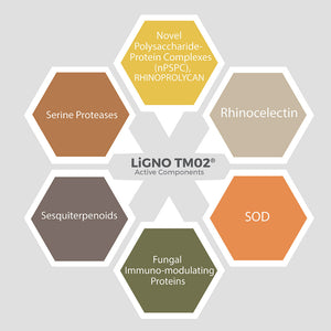 Tiger Milk Mushroom – Clinically Studied LiGNO TM02® – Respiratory & Immune Health