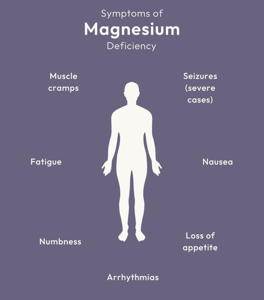 L-Theanine is a naturally occurring amino acid found in tea leaves, known for its calming properties without causing drowsiness. Research suggests it may support stress reduction, cognitive function, and sleep quality, while also contributing to mood regulation and blood pressure control. 