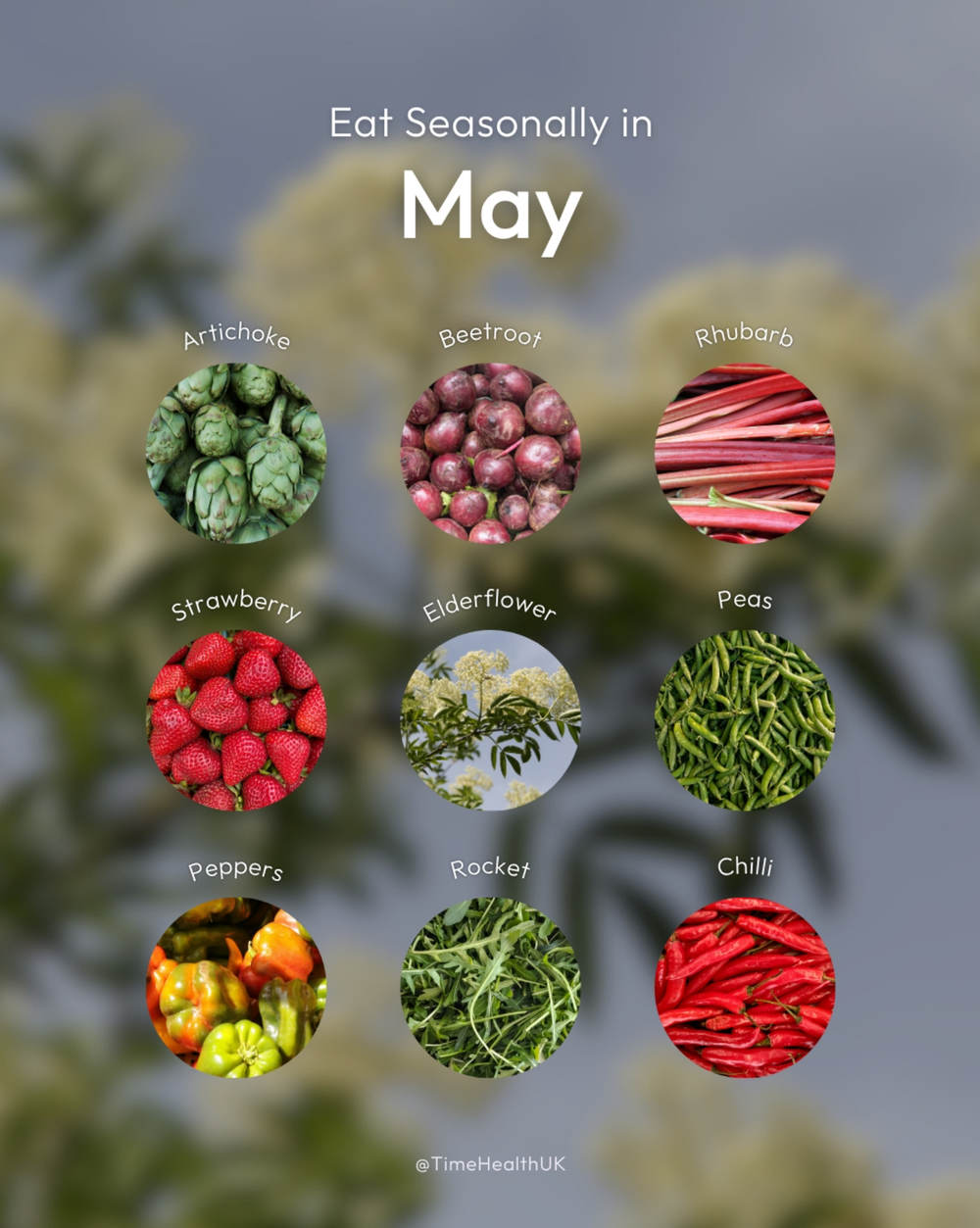Instagram image preview: Graphic titled “Eat Seasonally in may” featuring nine circular images of seasonal produce arranged in a grid: artichoke, beetroot, strawberry, chilli set against a blurred floral background.