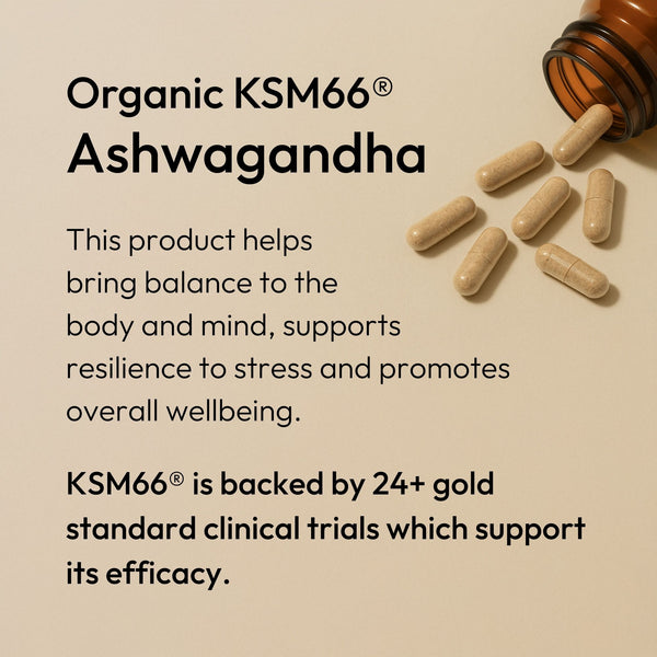 Ashwagandha is an
adaptogen, with a long history
of use in Ayurvedic practises to balance the body and mind.

KSM66® is backed by 24+ gold standard clinical trials which support its use for better sleep, resilience to stress, and improving overall wellbeing. HOVER