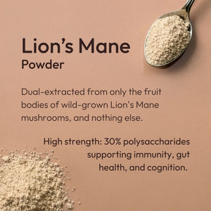 Time health lion's mane 30% polysaccharides for gut immune and cognitive support - hover