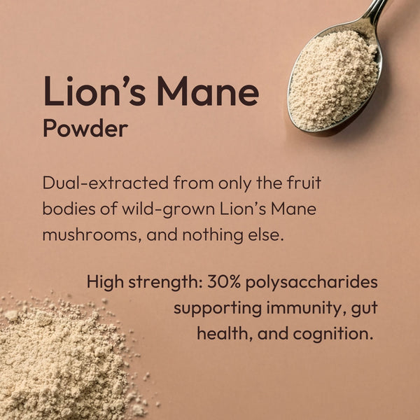 Time health lion's mane 30% polysaccharides for gut immune and cognitive support - hover
