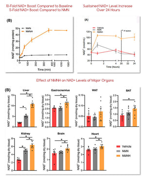 Ultra NMNH (Dihydronicotinamide Mononucleotide) - 10X Increase in NAD+ Levels - Cellular Energy & Longevity - Made with Premium UTHPEAK®