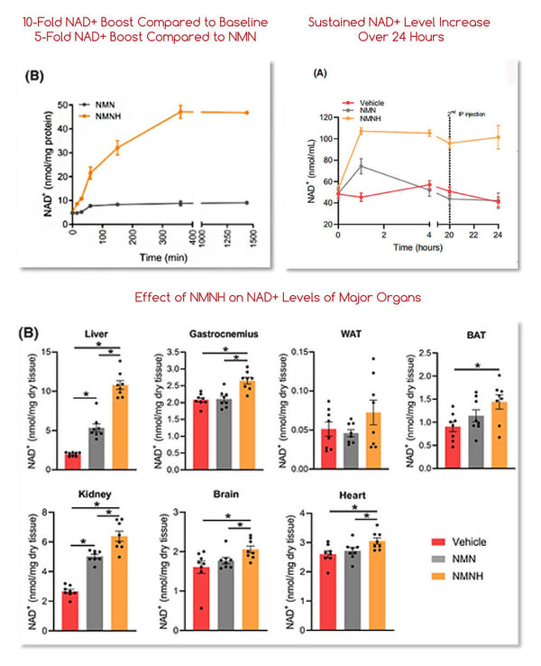 Ultra NMNH (Dihydronicotinamide Mononucleotide) - 10X Increase in NAD+ Levels - Cellular Energy & Longevity - Made with Premium UTHPEAK®