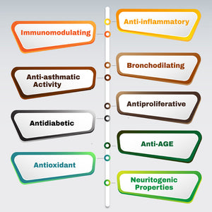 Tiger Milk Mushroom – Clinically Studied LiGNO TM02® – Respiratory & Immune Health