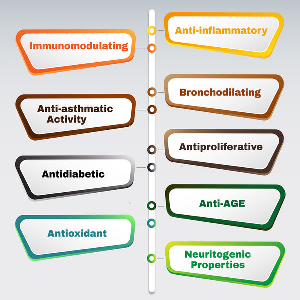 Tiger Milk Mushroom – Clinically Studied LiGNO TM02® – Respiratory & Immune Health