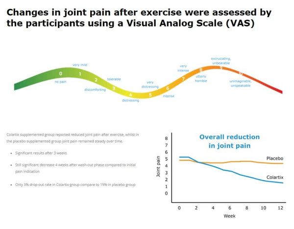 Colartix™ Collagen - Cartilage & Joints  - Type II - Hydrolysed Peptides
