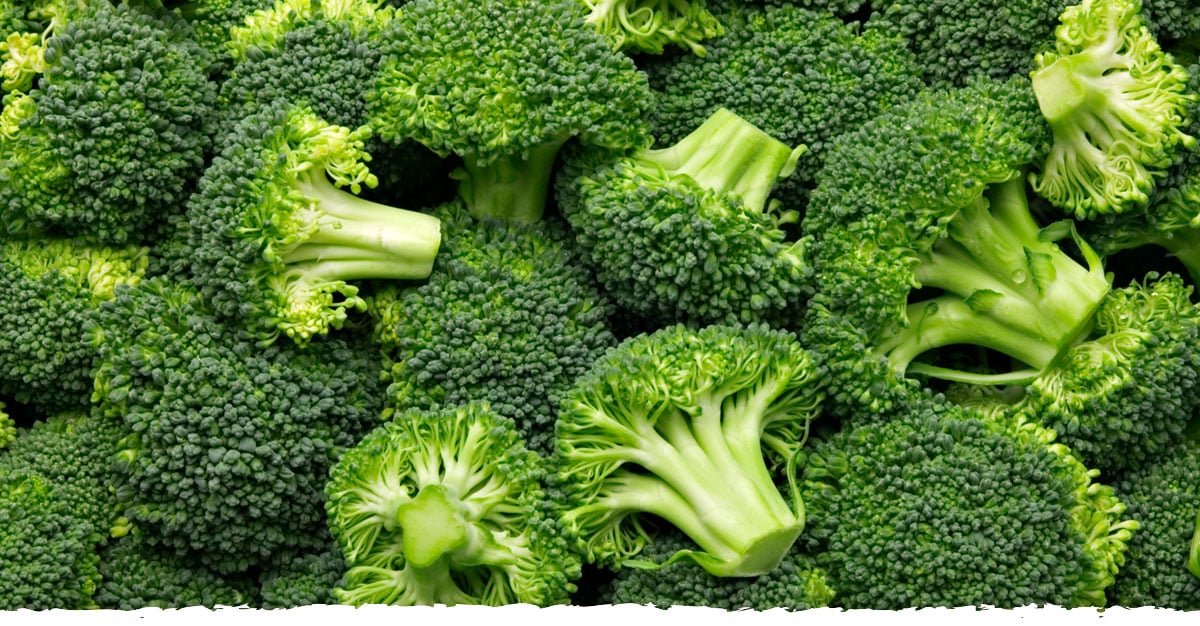 Broccoli - Time Health