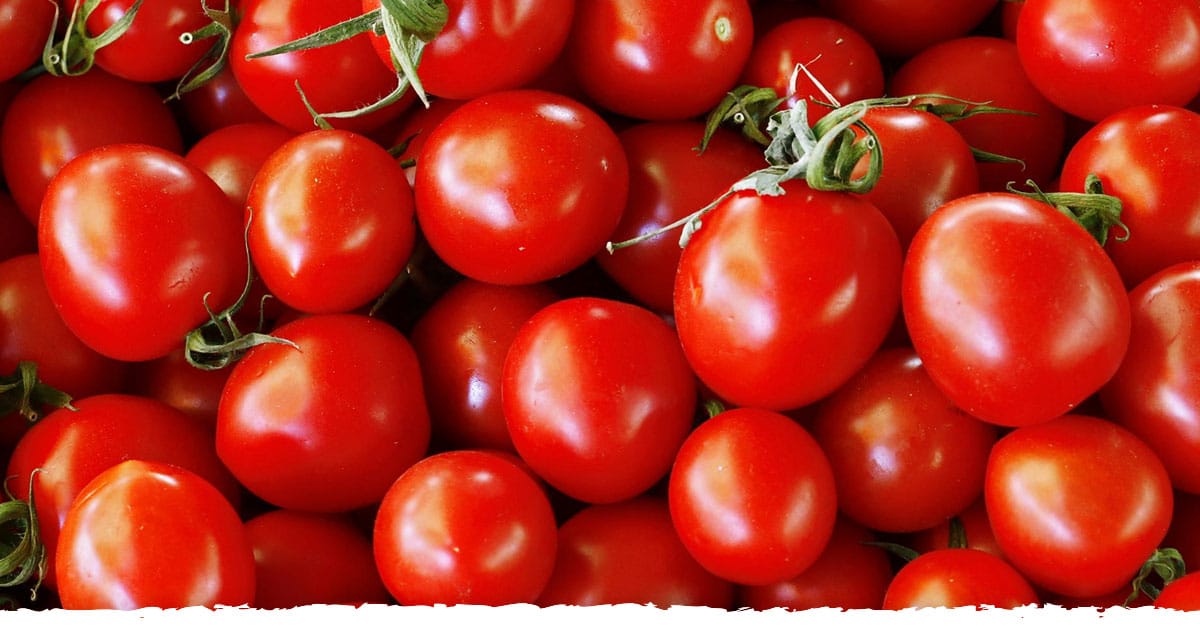 Lycopene Time Health